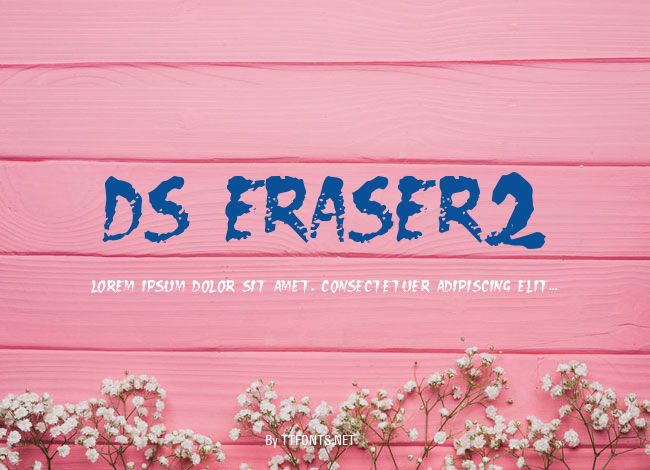 DS Eraser2 example